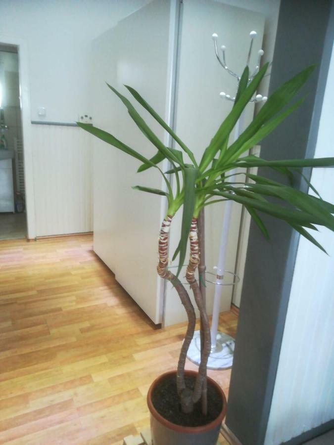 Zentral Gelegene Wohnung In Velbert-Mitte ภายนอก รูปภาพ